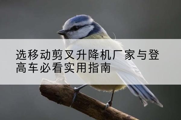 鹿泉电动升降机厂家-选移动剪叉升降机厂家与登高车必看实用指南