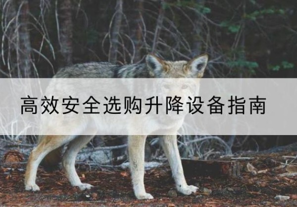 鹿泉升降货梯厂家推荐-*安全选购升降设备指南